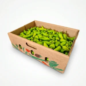 BULLET CHILLI BOX